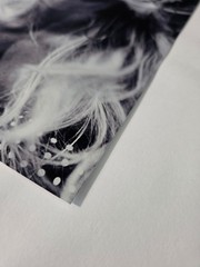 Photo INK – Giclee Print A4 – Fashion Portrait, Woman – Photography Chromatic