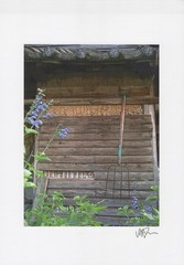 Signed Rustic Farm Shed Photograph Art Print Garden Flowers Pitchfork B2