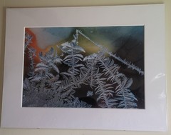 H. David Stein Matted Fine Art Photography Prints 24″X 18″ Lot Of Two (2)