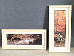 Joseph Barnett Photography Set of 2 Signed Autumn Themed Nature Framed Photos