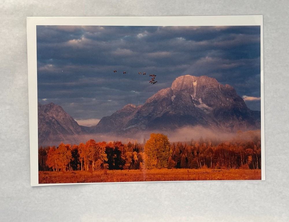 Changing Seasons Thomas Mangelsen Photograph Signed 159/950 Mint Info Card