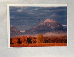 Changing Seasons Thomas Mangelsen Photograph Signed 159/950 Mint Info Card