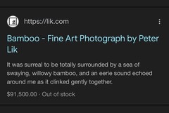 Peter Lik «Bamboo» 1.5M Framed Picture SOLD OUT – With COA