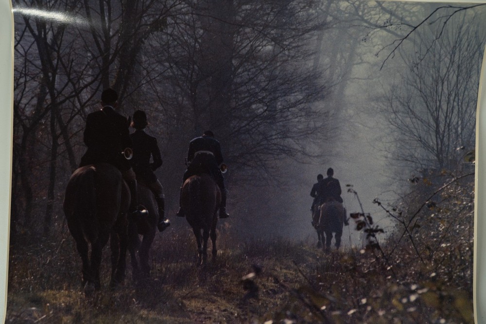 Analog Photo France Hunting Hound Horse 24X30CM 1970