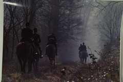 Analog Photo France Hunting Hound Horse 24X30CM 1970