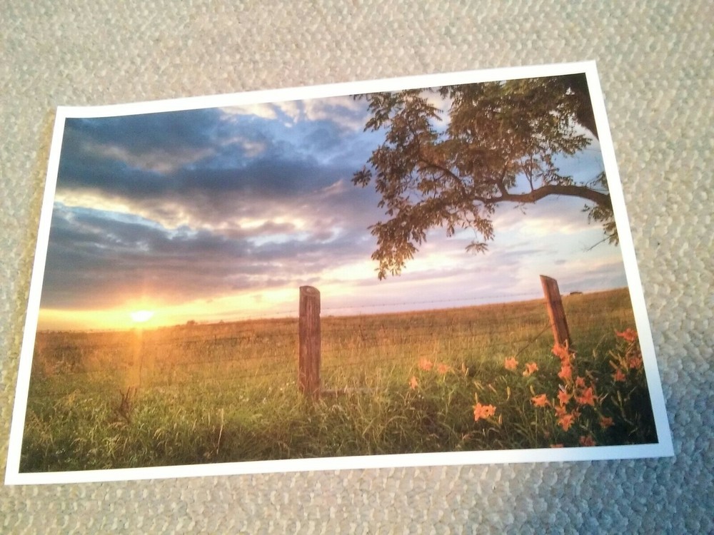 19×13 Digital Art Photograph Beautiful Sunset Fence Row Landscape Countryside