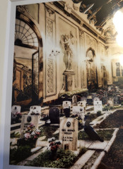 Andrew Mosedale Signed Cemetary Ballroom Photograph in Matte 12 x 9 FREE SHIP!!!