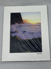 Kilahuea Hawaii Photography Art Photos 2 Scott Hanft Flowers Ocean 11 X 14 2000s