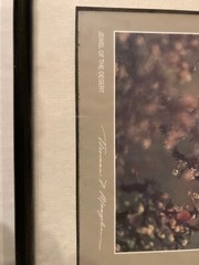 Thomas Mangelsen Jewel of the Desert Cardinal Framed Photography