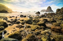 Whaleshead Beach – Southern Oregon Coast – Fine Art Photography Prints