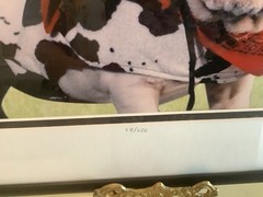 John Hartung “ Cow Dog” Bulldog In Holstein Pasture Photo Numbered 28/250 Signed