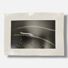 Toni Crabb «FIber 1 (Moths) V» Limited Signed Art Photography Print, 12 x 17 cm