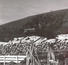 JOHN HALEY RARE CALIFORNIA CA CALIF LISTED PHOTOGRAPH MODERNISM Black and White