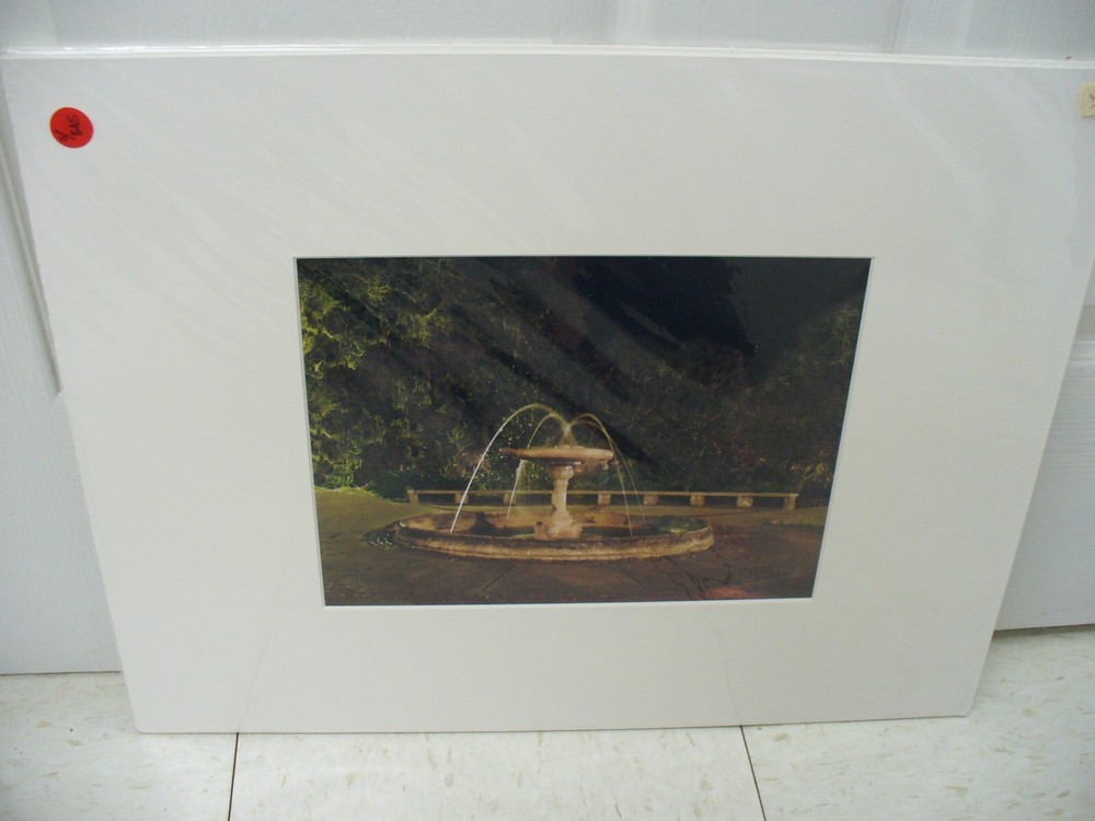 MATTED PHOTOGRAPHY Night Fountain in Park By Larry Santucci 16×20
