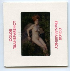 Org Camera Club Nude 60s 35mm Slide Negative- Endowed Woman Outdoors in Field 12