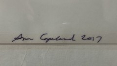 Original Photo Art Print Swan Photography Matted Signed by Ann Copeland Sealed
