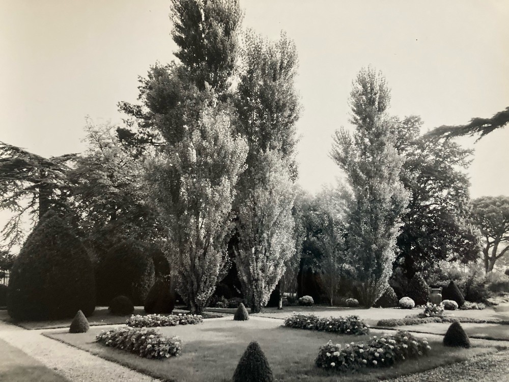 Jean Dieuzaide Original Photo Art Photography 1970 Toulouse XXe Garden Stamp
