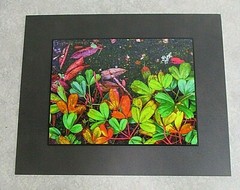 Signed Nature colorful Flower Photo on Dura Plaq by Doug Blunt 8×10 (A3)