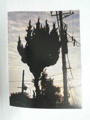 Daido Moriyama Color Photograph Book 2011 Limited 500 SUPER LABO Japan Art Book