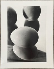 Hans Finsler, Eggs in Mirror II, before May 1929, Photograph from Estate