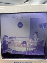 Lot 100 1970’s 60s Ektachrome Family Vacation Holidays Amateur 35mm Color Slides