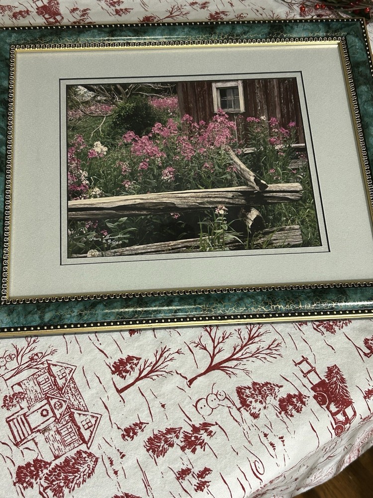 Harry Bowden Nature Photographer, Ontario Blossoms