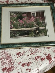 Harry Bowden Nature Photographer, Ontario Blossoms