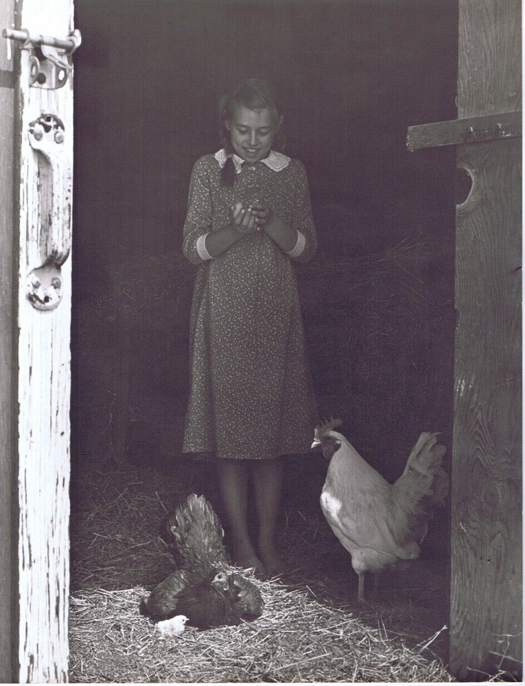 Hendrickson Original Photo B&W Little Girl Holding A Baby Chick 10×13 R360