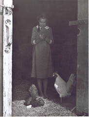Hendrickson Original Photo B&W Little Girl Holding A Baby Chick 10×13 R360