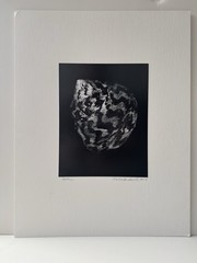 SNAIL by CHARLES FENDROCK B&W Photo 7×9 Artist Mounted & Signed