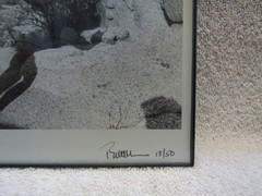Vintage Gay Interest Real Photo- Framed Nude- Southwest Photography Guild 13/50