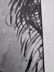 Che Guevara «Guerrillero Heroico» by Alberto Korda – Signed 1989 Print