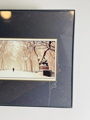 Central Park NYC Printed Photo Art