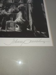 Johnny Donnels Glass Window Garden Signed New Orleans Photo Cracked Glass w/ Bio