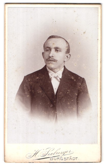 Photograph H. Seeburger, Burgstädt, portrait charming young man with bow tie