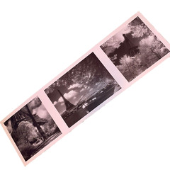 Paris Floral Eiffel Tower Black & White Triple Art print