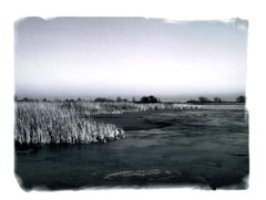 Photography Art Print Piendi Media B&W Digital Print 8 1/2 X 11″ WI Shoreline