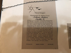 Natural Imagery William Ervin Signed Matted 4 Photographs The Flatirons Colorado