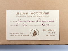 Vtg «Canadian Dogwood» 8×10 Photograph, Signed, Matted & Framed (13×16) LEE MANN