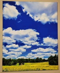 Canvas Photo Clouds Over A Golden Field Haw River, NC 16×20 Ltd Ed Signed