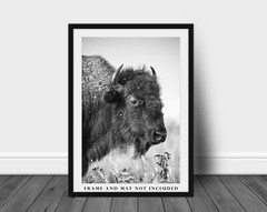 Bison Photography Print – Black and White Picture of Buffalo on Oklahoma Prairie