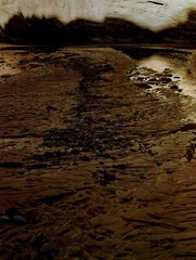 1962 Eliot Porter Glen Canyon Escalante River’s Edge Art Photo Gravure