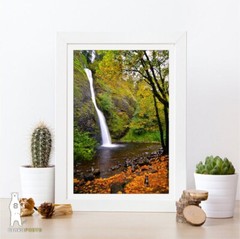 Horsetail Falls – Columbia River Gorge, Oregon – Waterfall Photography Prints