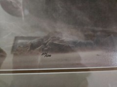 SIGNED THOMAS D. MANGELSEN WIND SONG POLAR BEARS LIMITED EDITION PRINT 117/1200