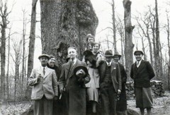 ALTES FOTO – MODE – FAMILIE – WANDERUNG IM WALD – GRUPPENFOTO VOR BAUM