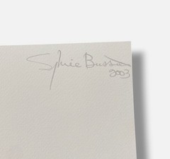 Sylvie Bussières «Sèrie Inutiles de Cristal» Foto No.2 Photogram Mural Wall Art