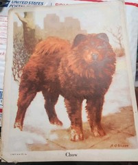 Vtg. Paper Ephemera Dog Themed