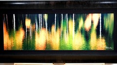 Jared & Trish McMillen «Aspen Pops» L.E. 15/250 Nature Photo Framed 62″ x 29″