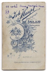 Photograph Joh. Haupt, Iglau, Tiefgasse 11, portrait of a young woman