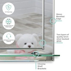 Neue Design Mood Rectangular Bathroom Mirror with Shelf, (20 x 16 inch) Wall …
